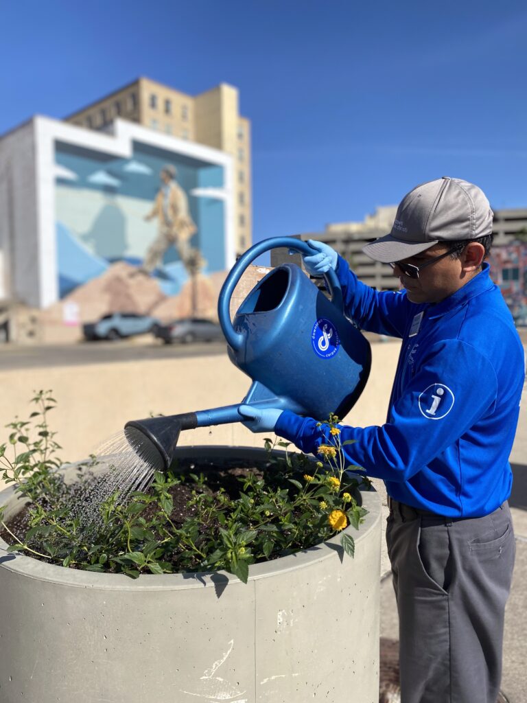 This image has an empty alt attribute; its file name is IMG_5391-768x1024.jpg